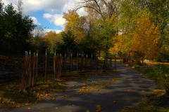 The Musical Chimes installation on a fall day with trees behind it on the Karl Stirner Arts Trail in Easton, Pennsylvania