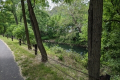 Bushkill-Creek-by-trail2-scaled