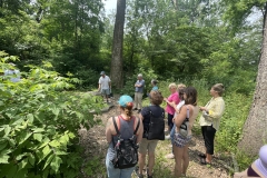 Walking on nature path